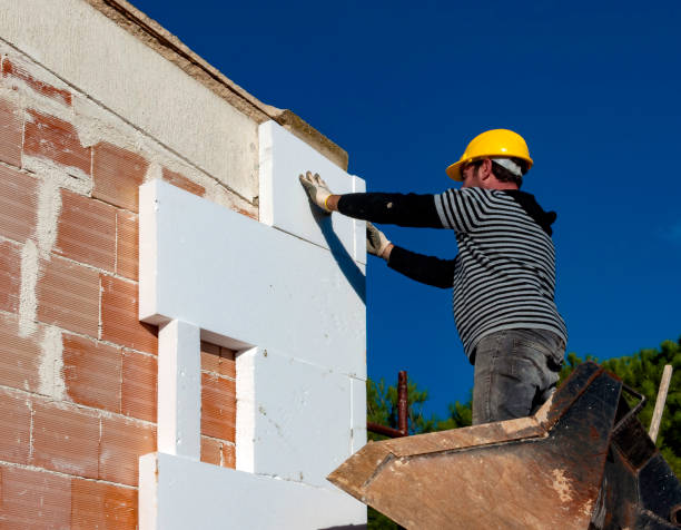 Best Insulation Replacement Services  in Evadale, TX