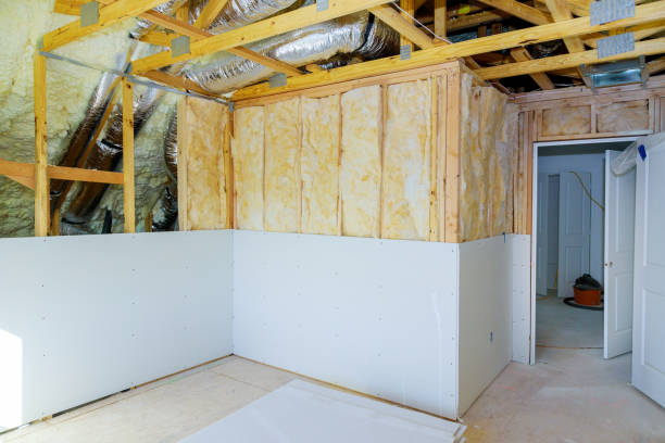 Best Insulation for New Construction  in Evadale, TX