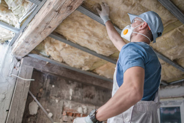 Best Attic Insulation Installation  in Evadale, TX
